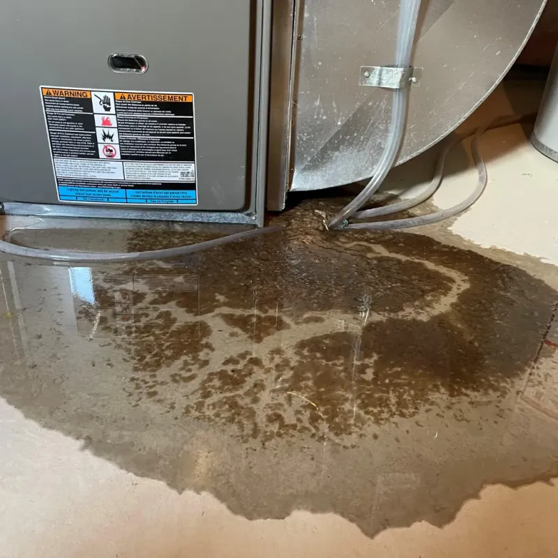 Appliance Leak Cleanup in Tecumseh, OK